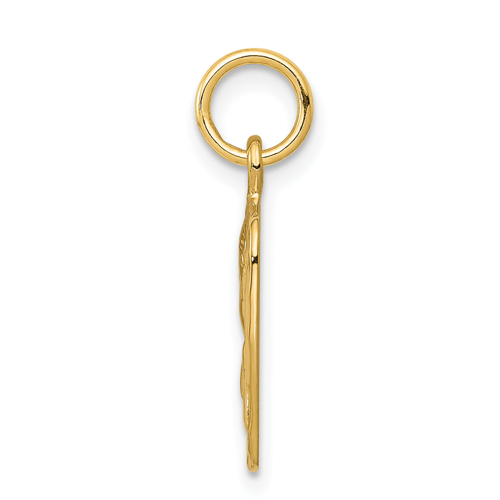 10k Satin & Diamond -cut Angel Charm