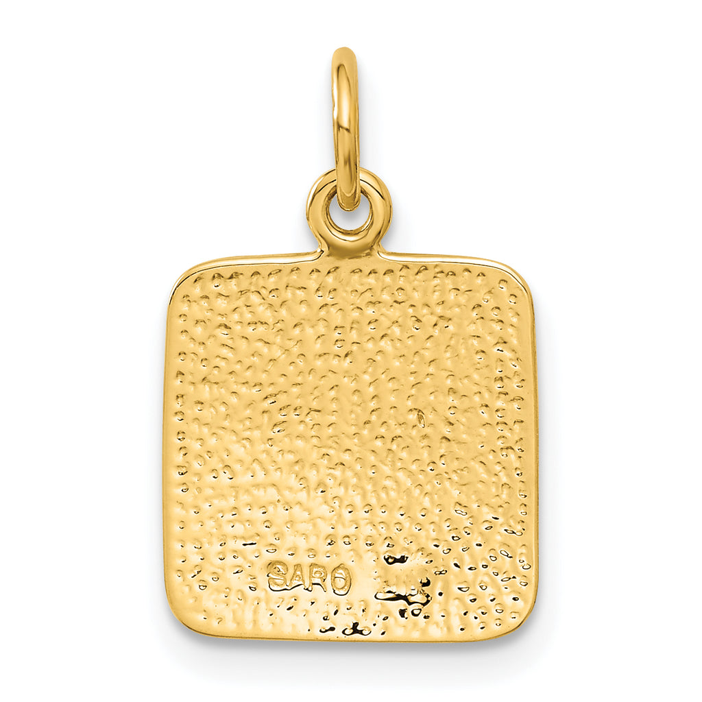 10k Satin & Diamond -cut Angel Charm