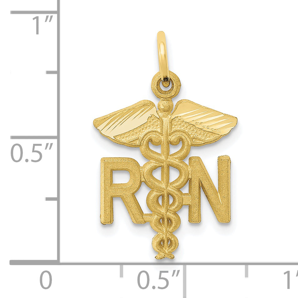 10k Nurse Charm