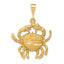 10k Cancer Zodiac Charm