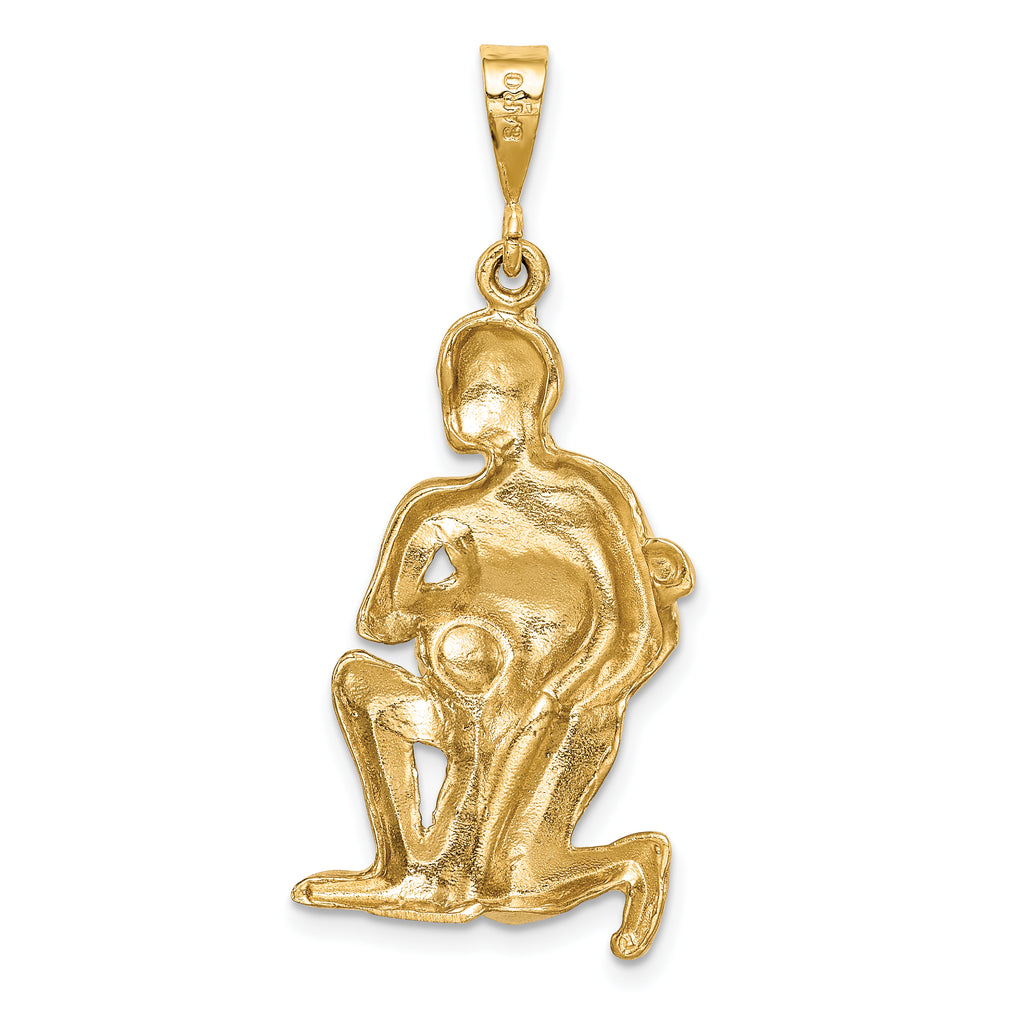 10k Satin Aquarius Zodiac Charm