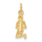 10k Virgo Zodiac Charm