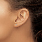 Inverness Stainless Steel Clear/Rose Crystal Post Earrings