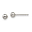 Inverness Titanium 4mm Ball Post Earrings