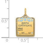 14k Enameled Blue Engravable BIRTH CERTIFICATE Charm - Sophia Jewelers
