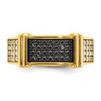 10ky Men's Black and White Diamonds w/ Black RH Complete Ring