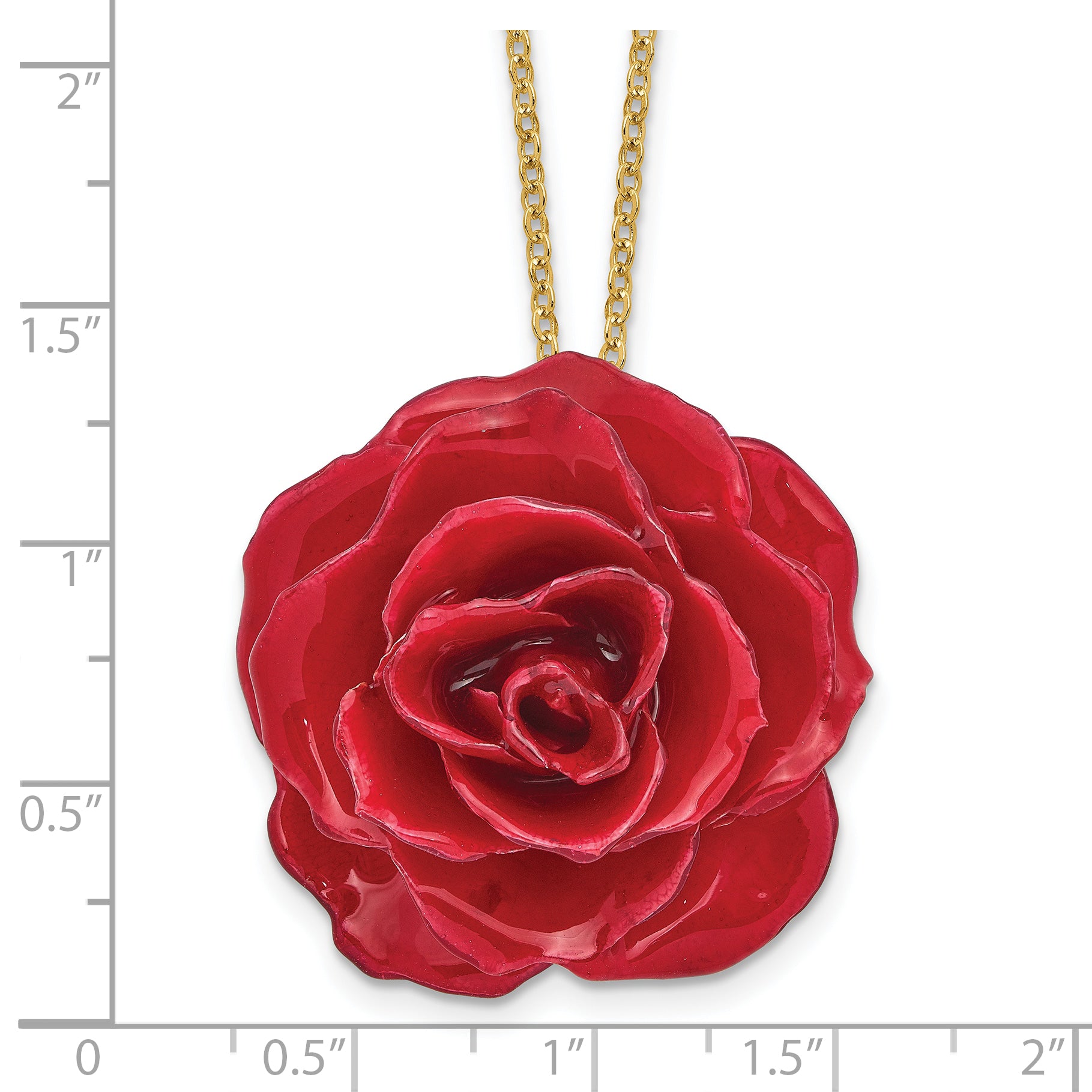 Lacquer Dipped Red Real Rose 20 inch Gold-tone Necklace