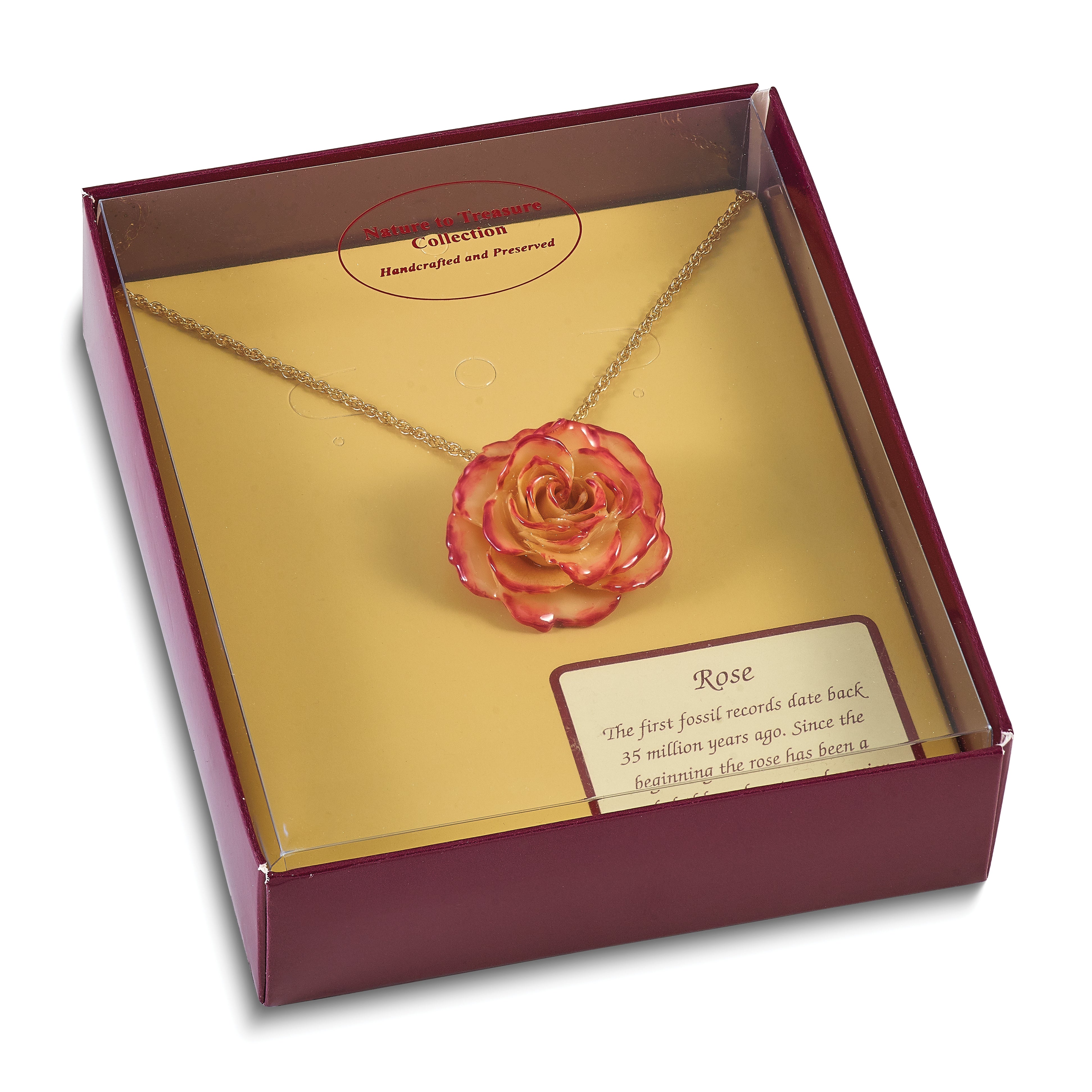 Lacquer Dipped Cream and Fuchsia Real Rose with 20 inch Gold-tone Necklace