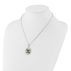 Silver Trim Real Four Leaf Clover in Oval 20 inch Silver-plated Chain Necklace