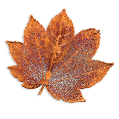 Iridescent Copper Dipped Real Full Moon Maple Leaf Pin Brooch