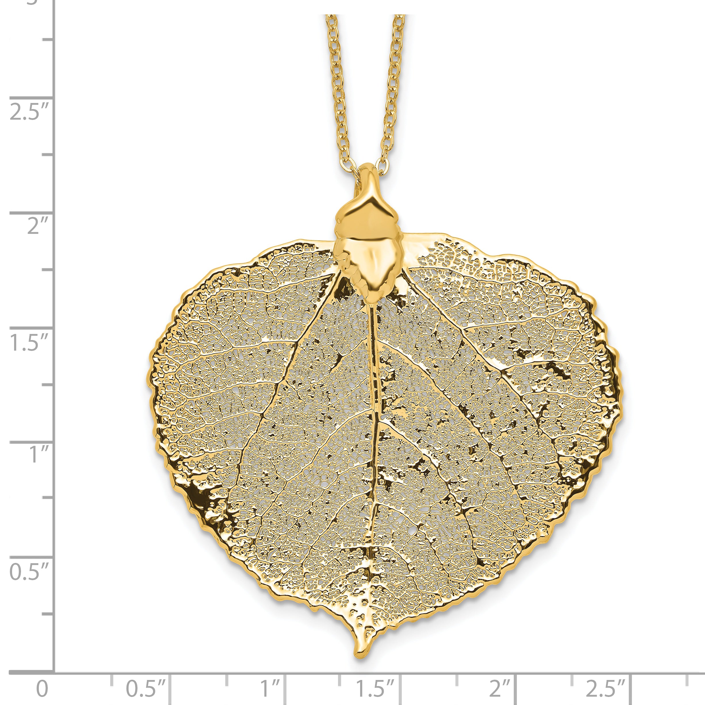 24k Gold Dipped Real Aspen Leaf with 20 inch Gold-tone Necklace