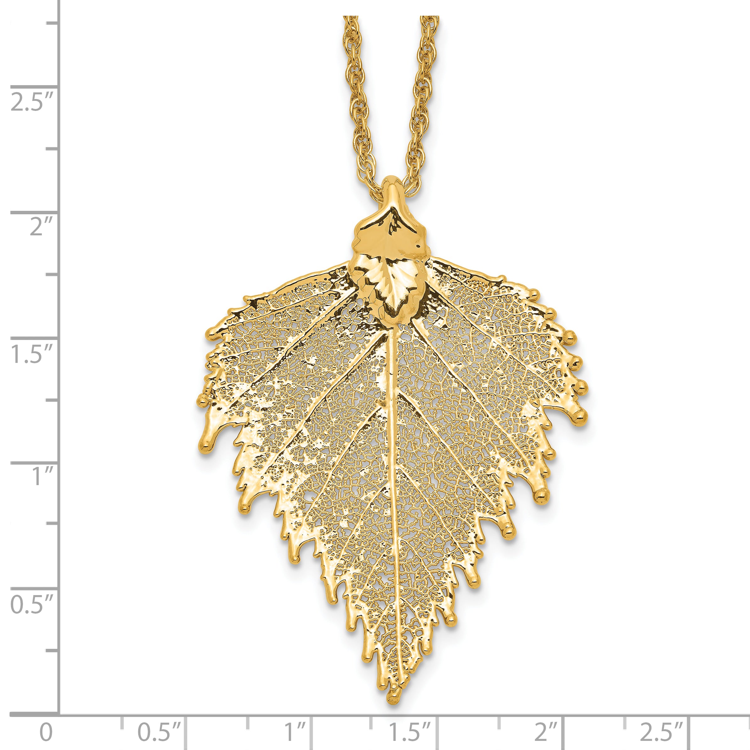 24k Gold Dipped Real Birch Leaf with 20 inch Gold-tone Necklace