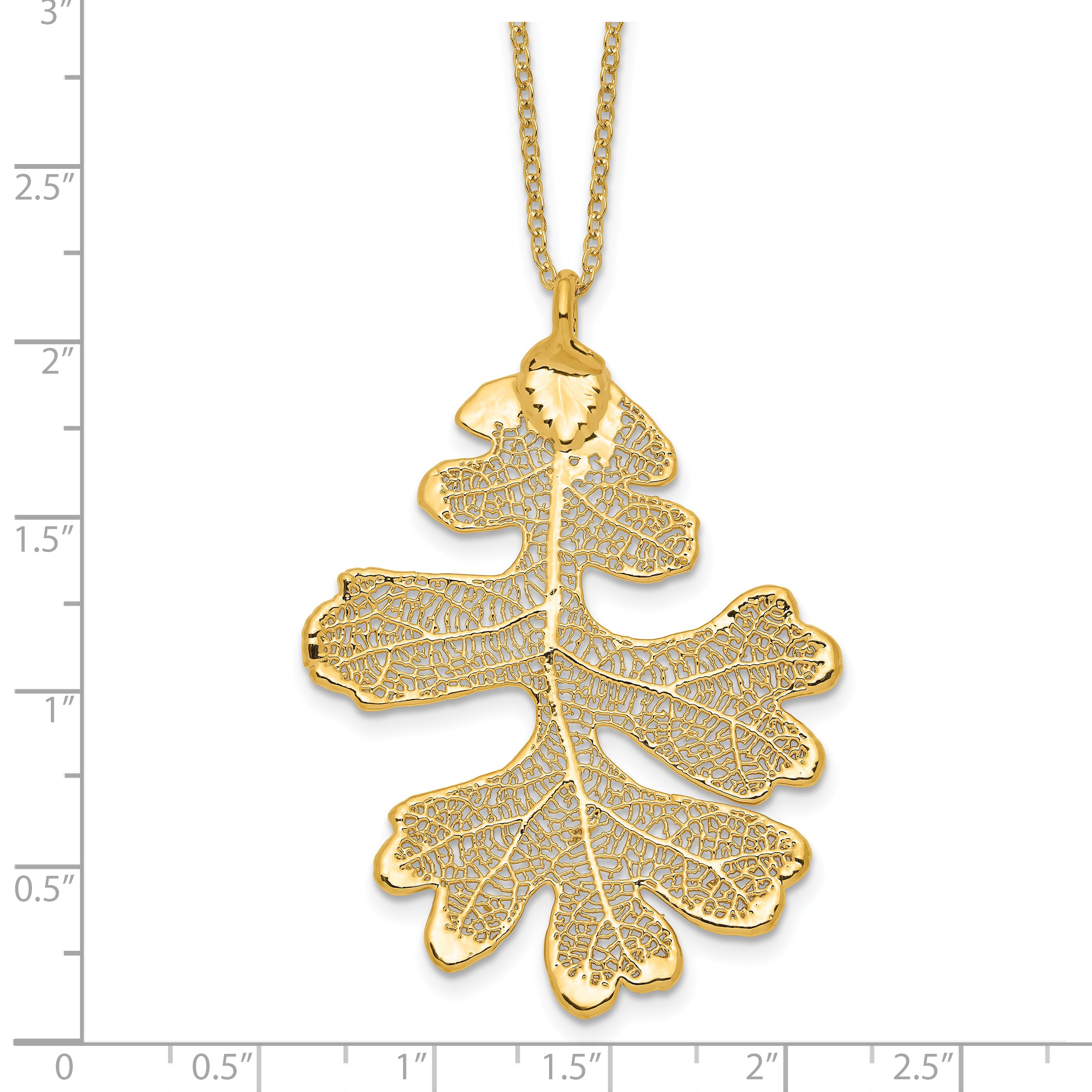 24k Gold Dipped Real Oak Leaf with 20 inch Gold-tone Necklace
