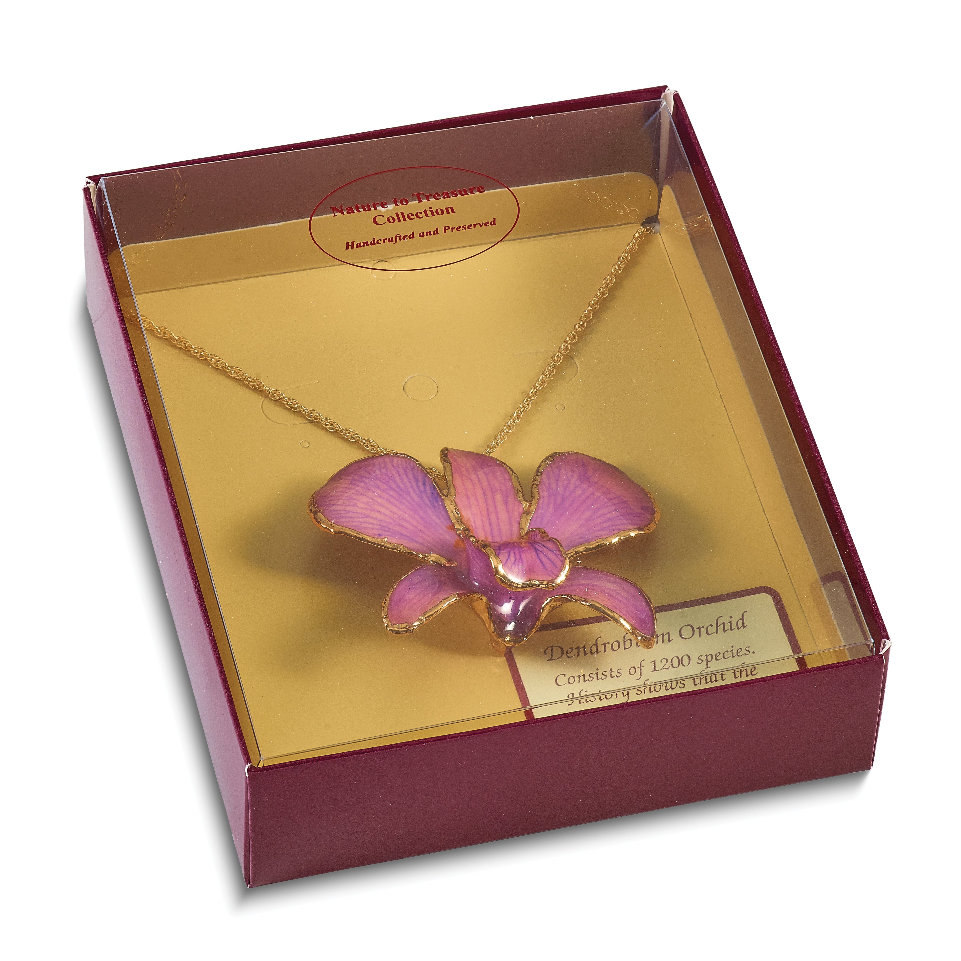 24K Gold-trim Lacquer Dipped Hot Lavender Real Dendrobium Orchid 20 inch Gold-tone Necklace