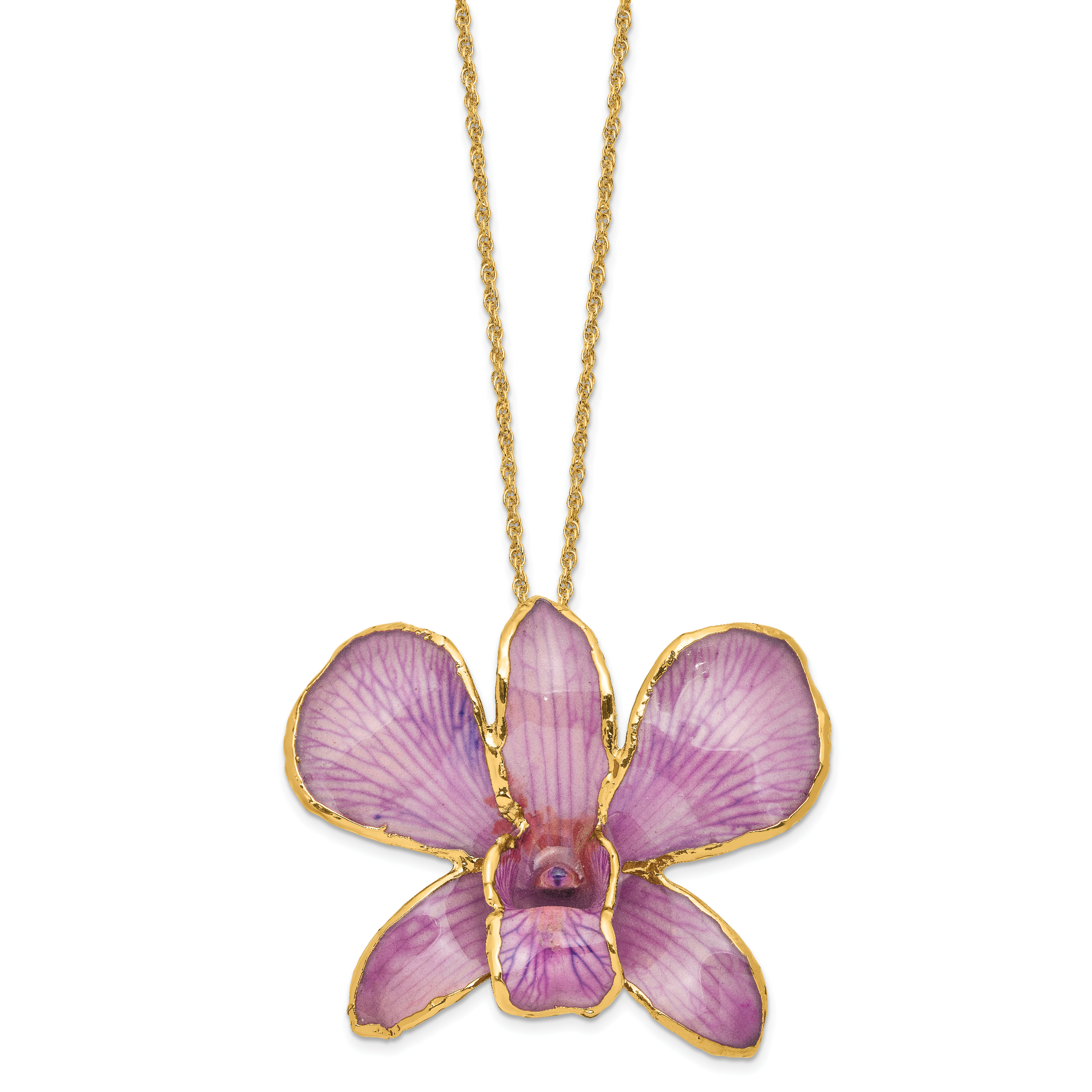 24K Gold-trim Lacquer Dipped Hot Lavender Real Dendrobium Orchid 20 inch Gold-tone Necklace