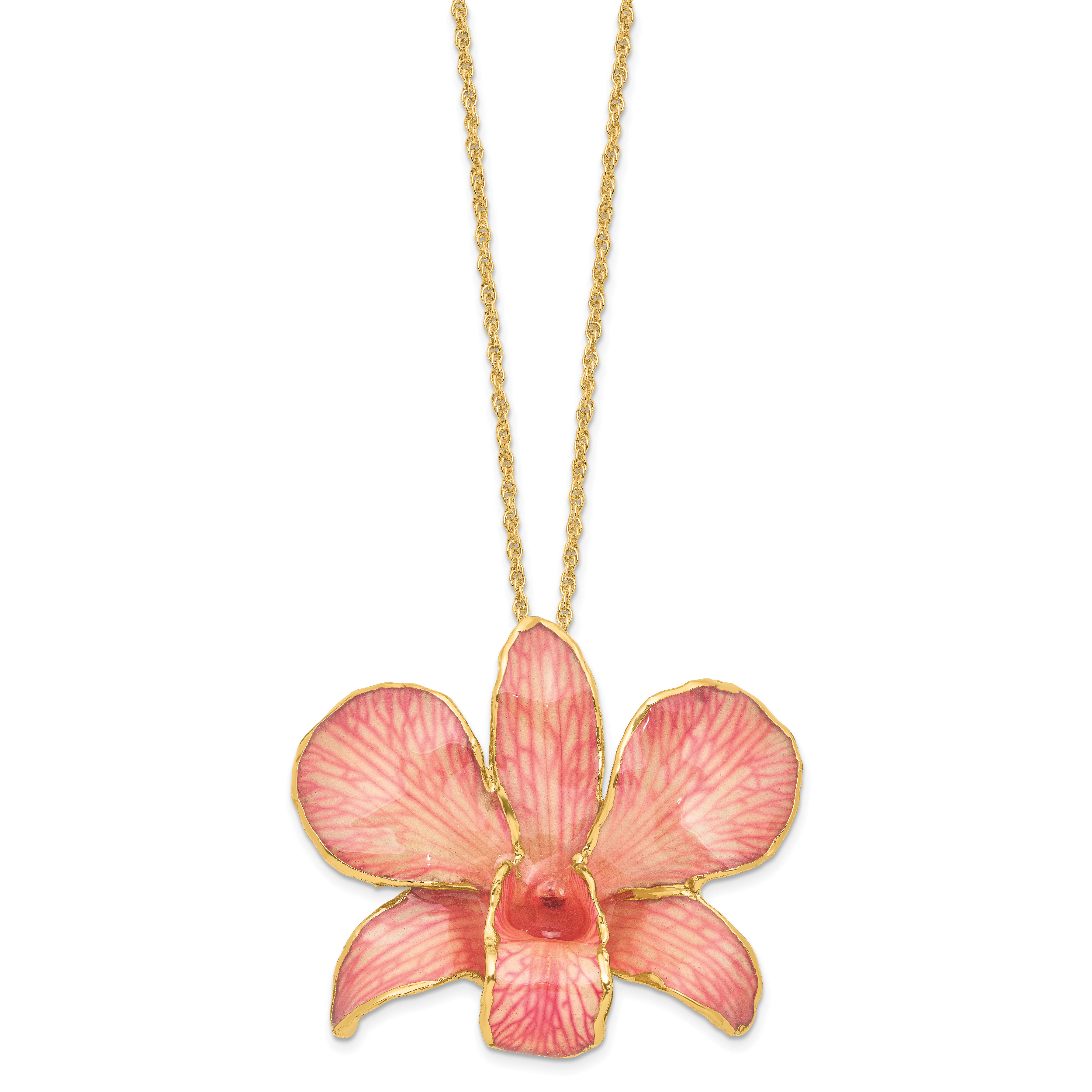 24K Gold-trim Lacquer Dipped Pink Real Dendrobium Orchid 20 inch Gold-tone Necklace Secondary image