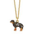 Luxury Giftware Pewter Bejeweled Crystals Gold-tone Enameled KNOX Bluetick Coonhound Trinket Box with Matching 18 Inch Necklace
