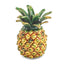 Luxury Giftware by Jere Pewter Bejeweled Crystals Gold-tone Enameled GOOD VIBES Golden Pineapple Trinket Box with Matching 18 Inch Necklace