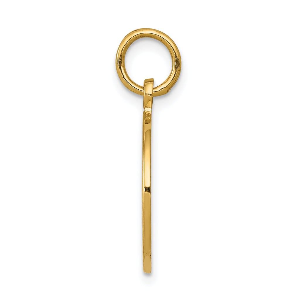 14K Yellow Gold Polished and Satin COMMUNION Round Disc Charm