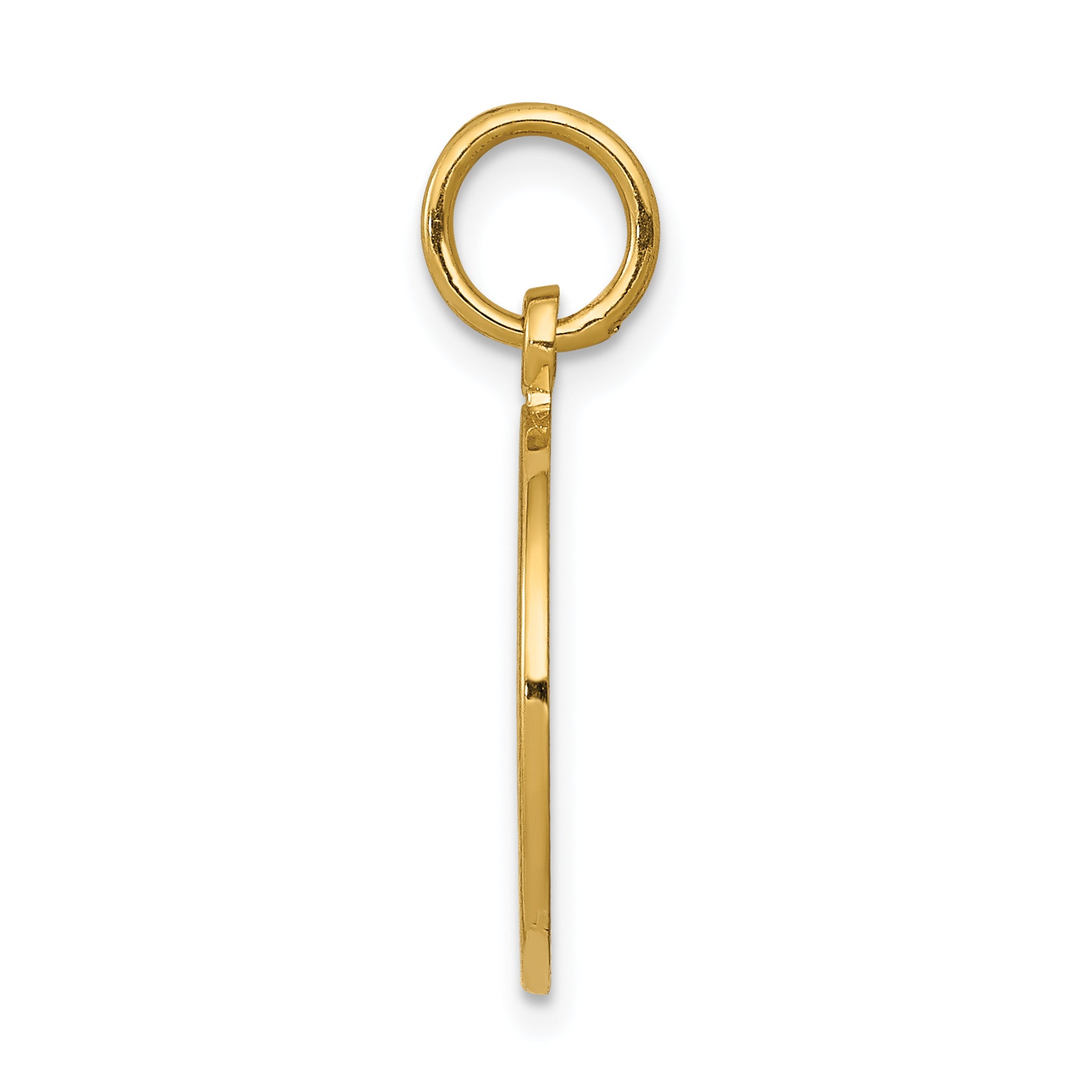 14K Yellow Gold Polished and Satin COMMUNION Round Disc Charm
