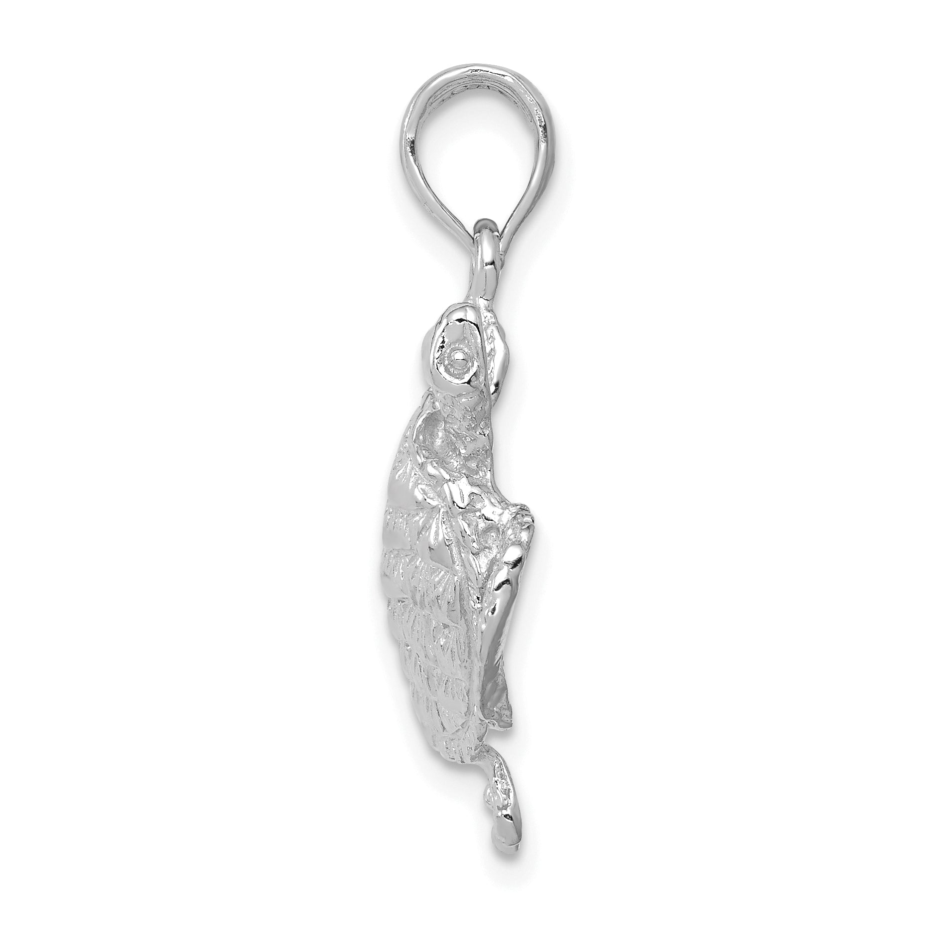 14K White Gold Solid Polished Open-Backed Turtle Pendant Secondary image