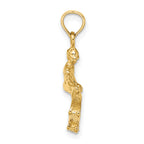 14K Solid Polished 3-D Skateboarder Charm