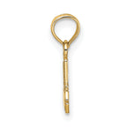 14k #1 Nurse Charm