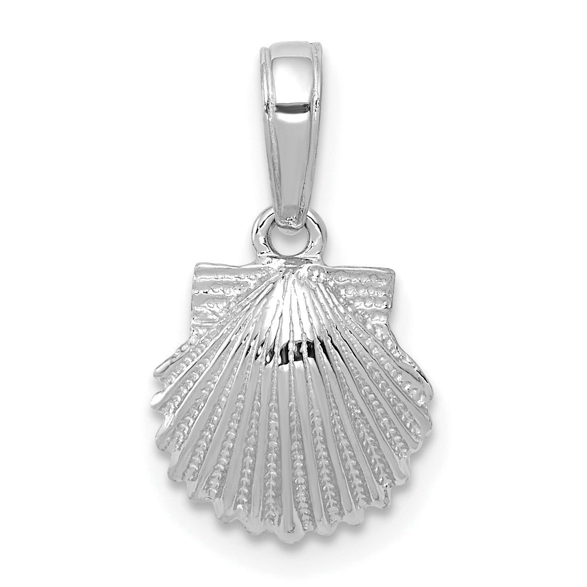 14k White Gold Scallop Shell Pendant Main image