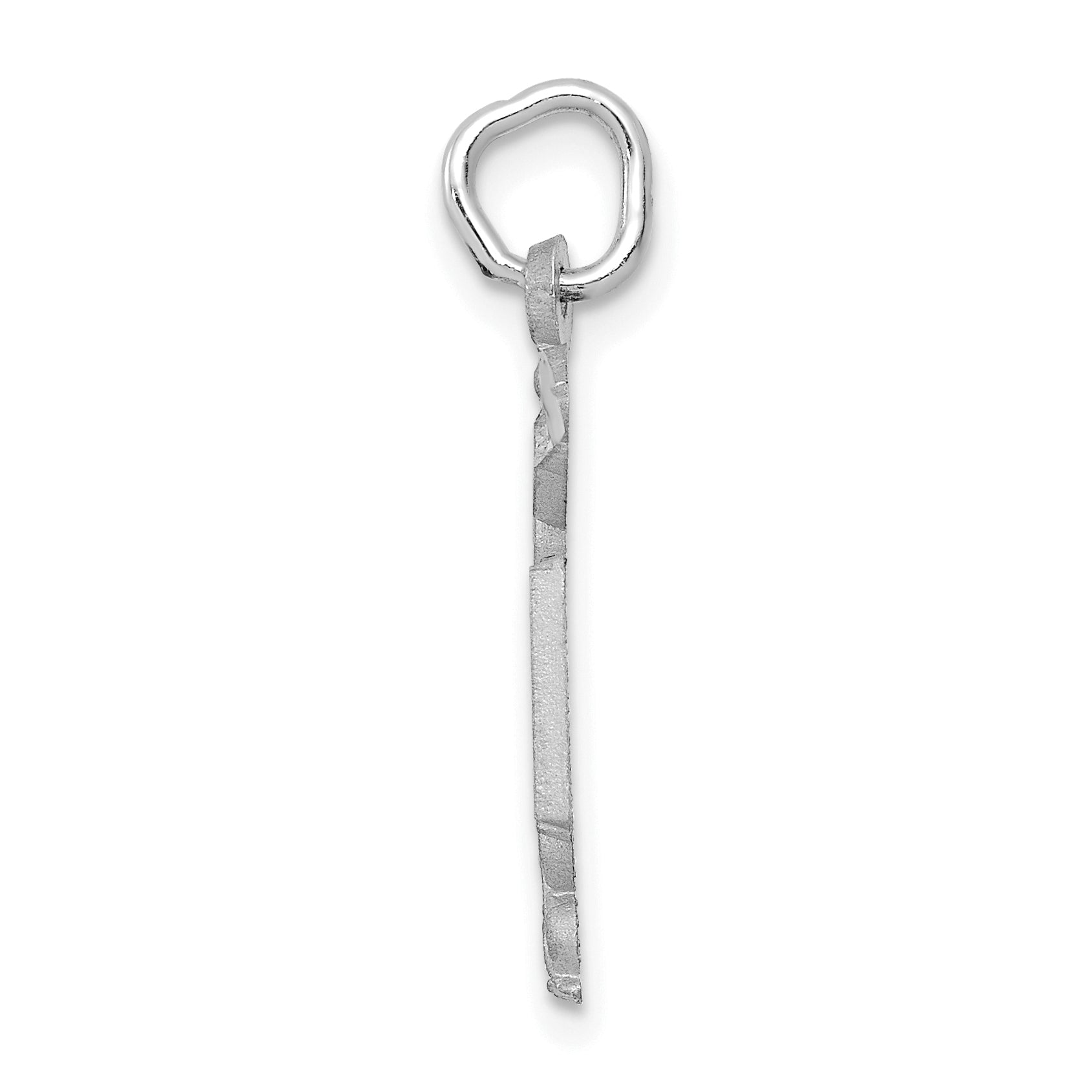 14k White Gold RN Nurse Charm