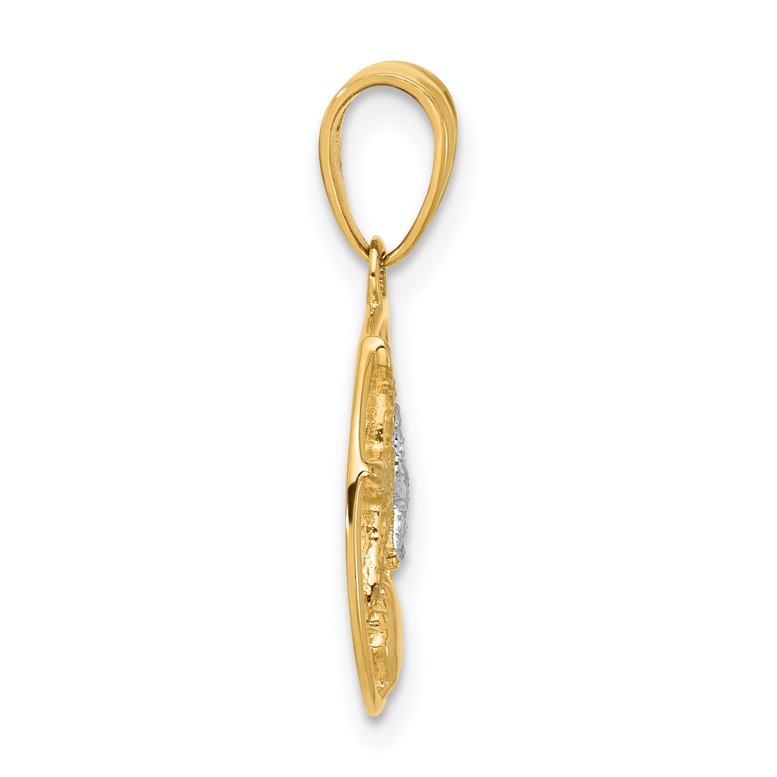 14K with White Rhodium Diamond Cut Starfish Seashell in Circle Pendant Secondary image