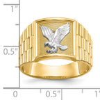 14k and Rhodium Men's Eagle Ring