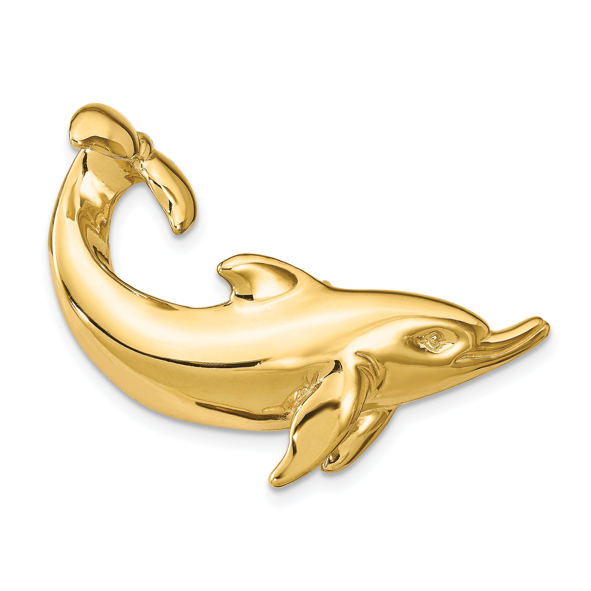 14k Dolphin with Tail Up Slide Main image