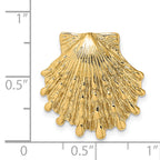 14k Small Lion's Paw Shell Slide