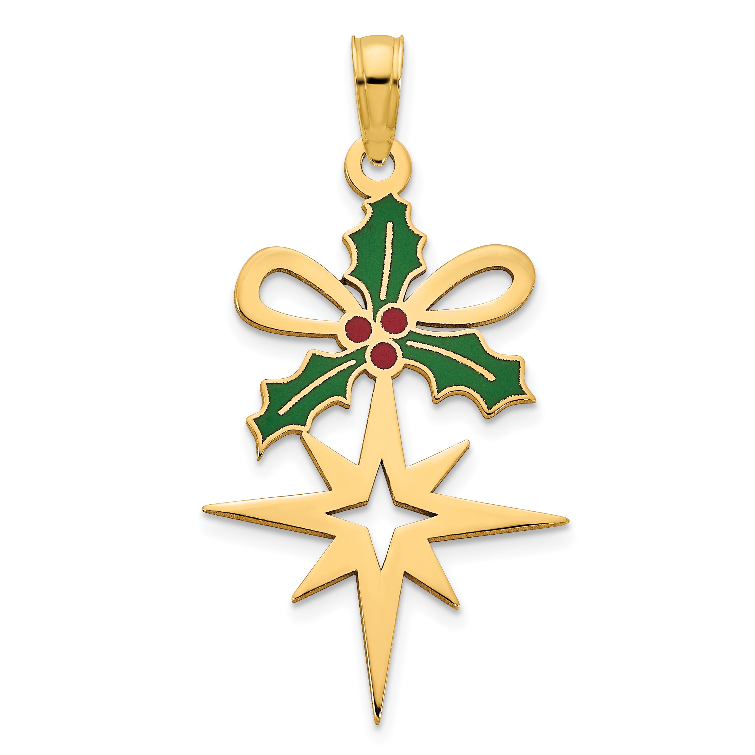 14k Epoxy Holly and North Star Pendant Main image