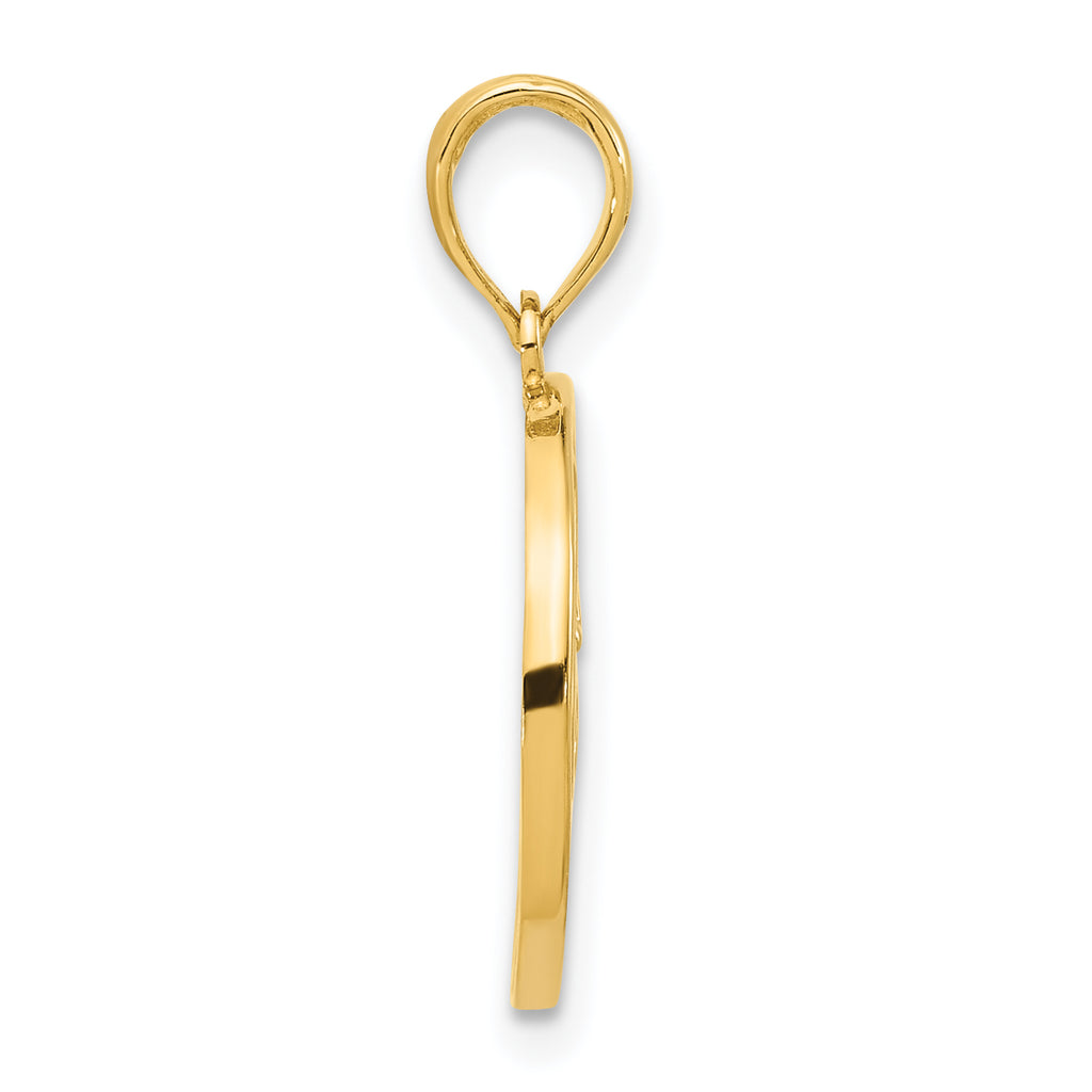 14k Polished Music Notes in Circle Pendant