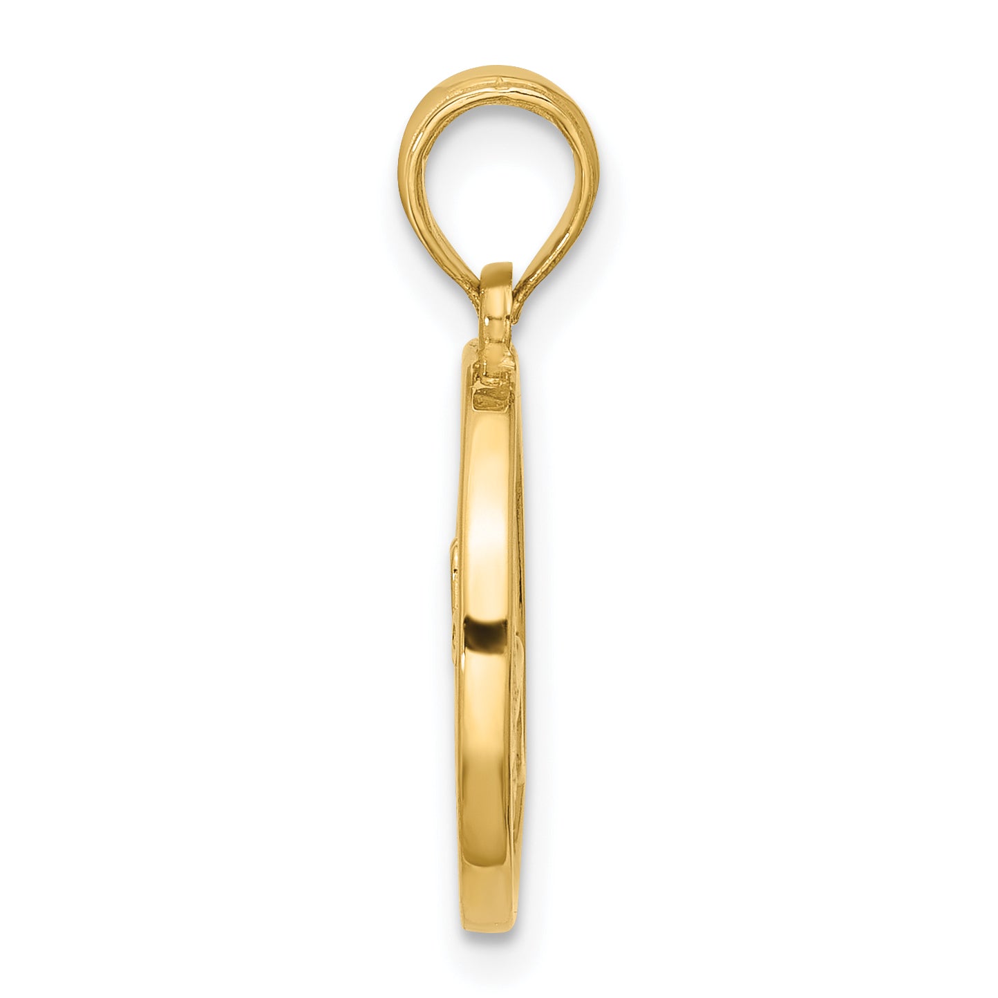 14K Polished Round Capricorn Pendant Secondary image