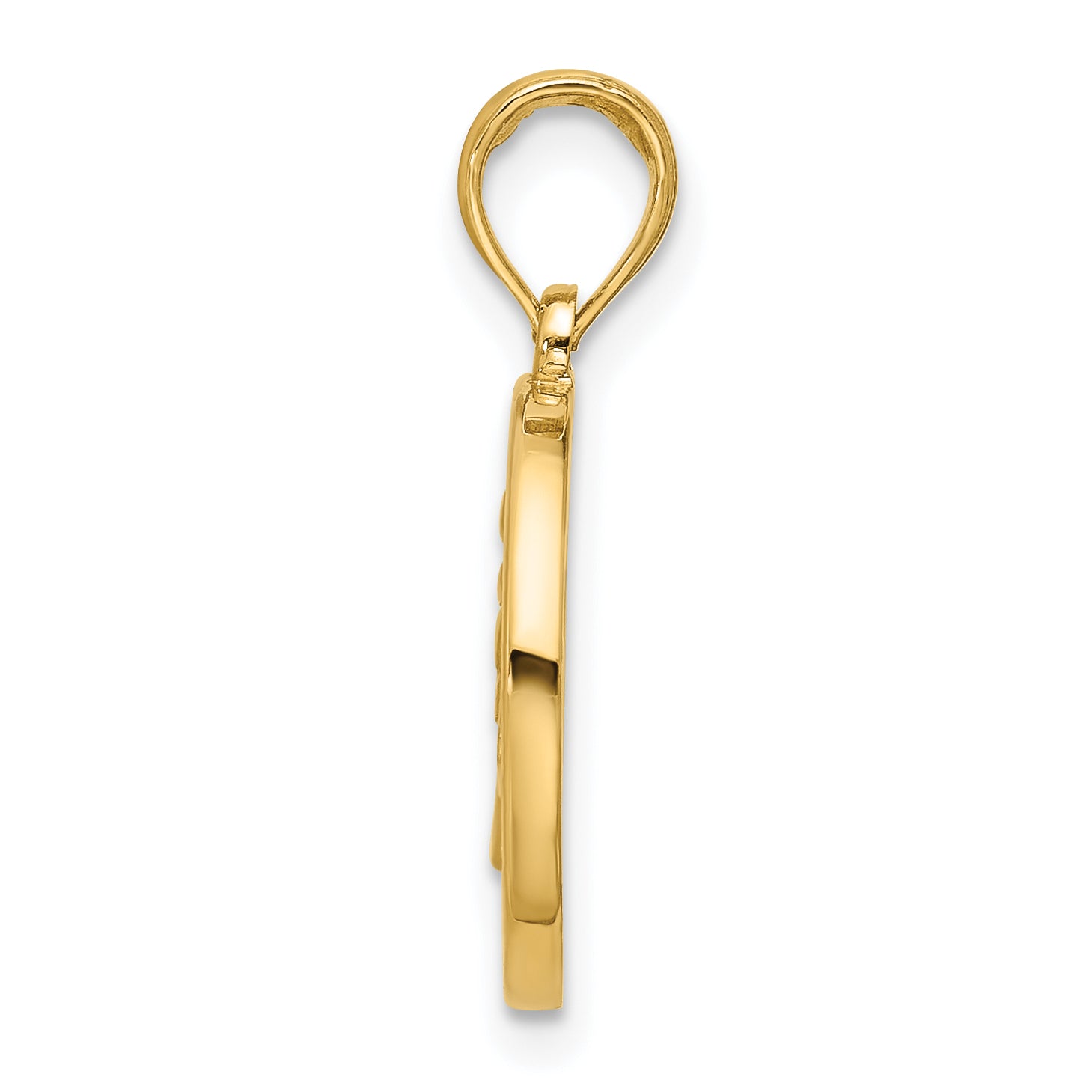 14K Polished Round Leo Pendant Secondary image
