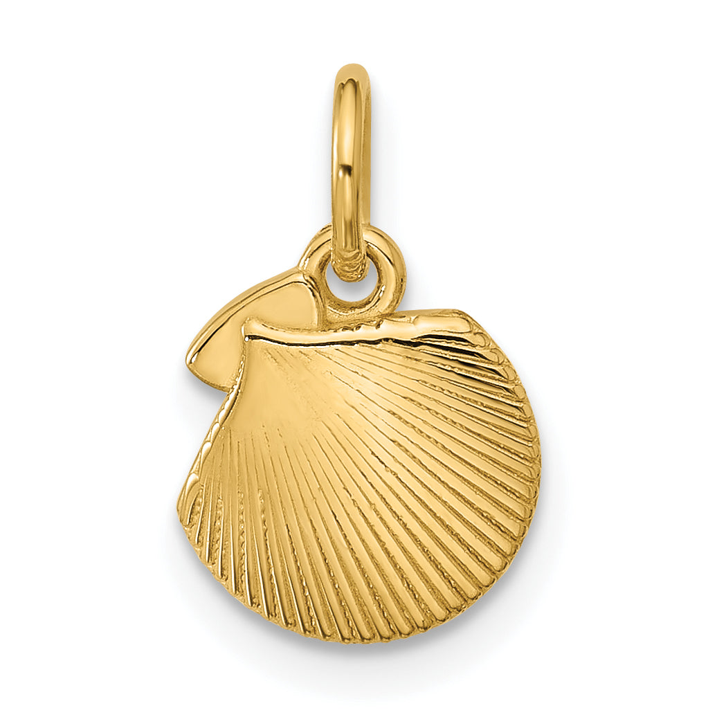 14K Polished Textured Seashell Pendant Main image