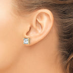 14K Yellow Gold 6 ct Certified Lab-Created Diamond VS+ F+, Princess-Cut 4-Prong Stud Earrings