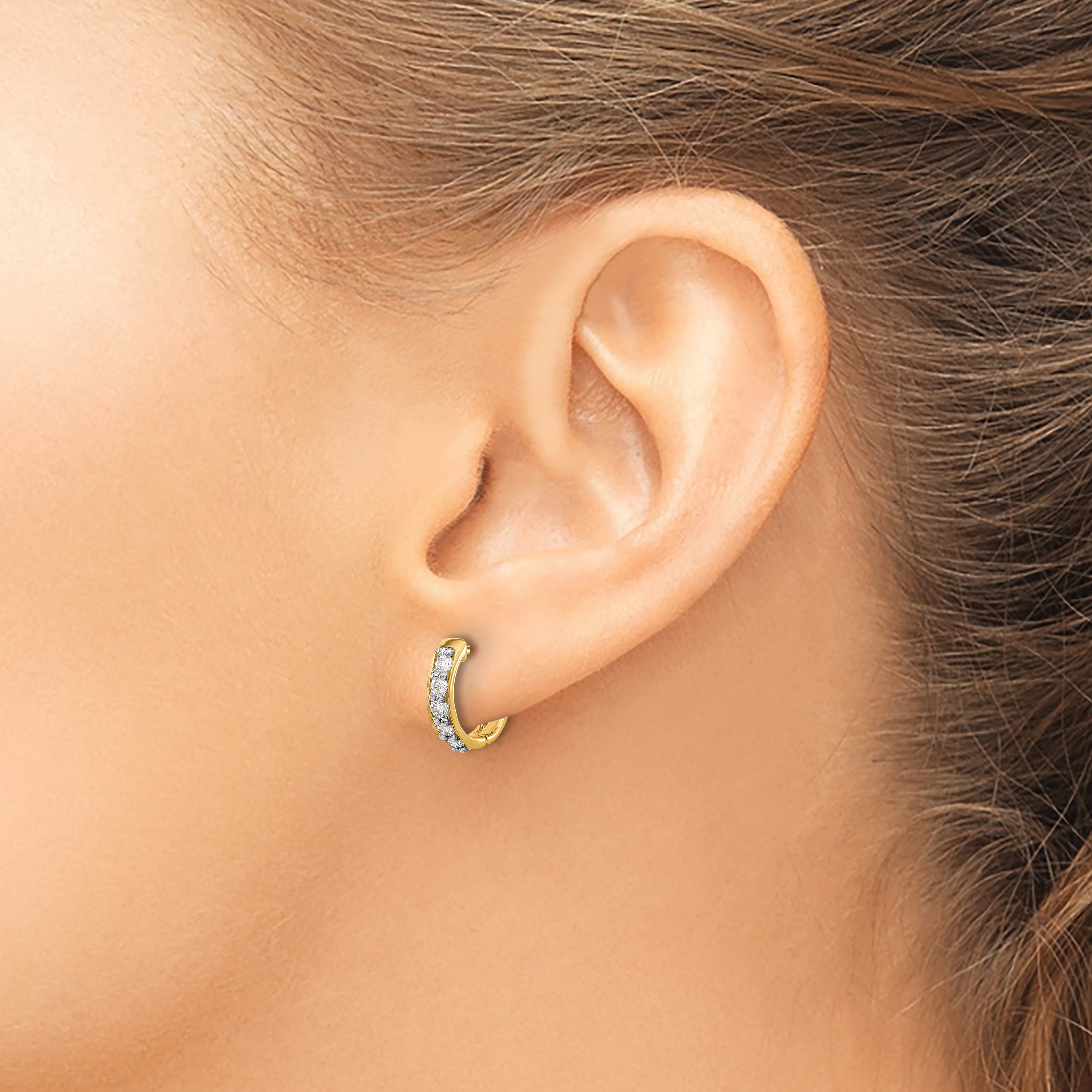 14k 1/3 carat Lab Grown Diamond VS/SI+ G+ Complete Hinged Hoop Earrings