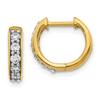 14k 1/3 carat Lab Grown Diamond VS/SI+ G+ Complete Hinged Hoop Earrings