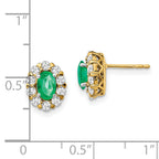 14k 5/8 carat Lab Grown Diamond VS/SI+ G+ and Oval Created Emerald Complete Halo Post Earrings