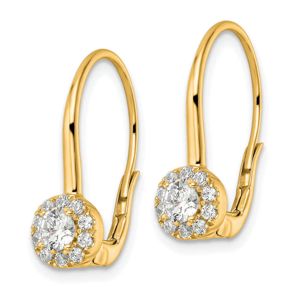 14k 3/4 carat Lab Grown Diamond VS/SI+ G+ Complete Drop Leverback Earrings