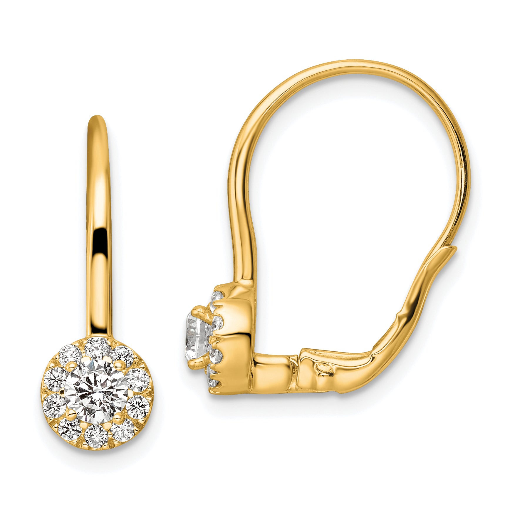 14k 3/4 carat Lab Grown Diamond VS/SI+ G+ Complete Drop Leverback Earrings Main image