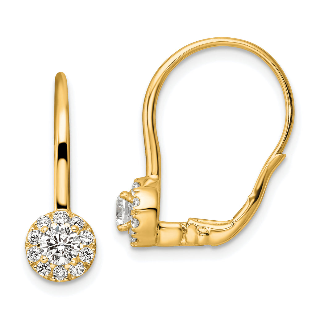 14k 3/4 carat Lab Grown Diamond VS/SI+ G+ Complete Drop Leverback Earrings