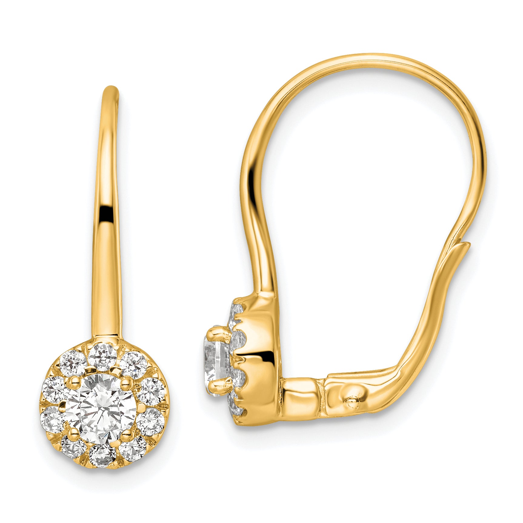 14k 1 1/2 carat Lab Grown Diamond VS/SI+ G+ Complete Drop Leverback Earrings Main image
