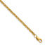 1/20 14K Gold Filled 2.50mm Rolo with ext. Bracelet
