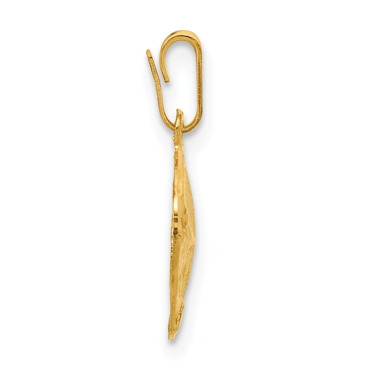 14K Gold Filled Textured Sand Dollar Pendant - view 2
