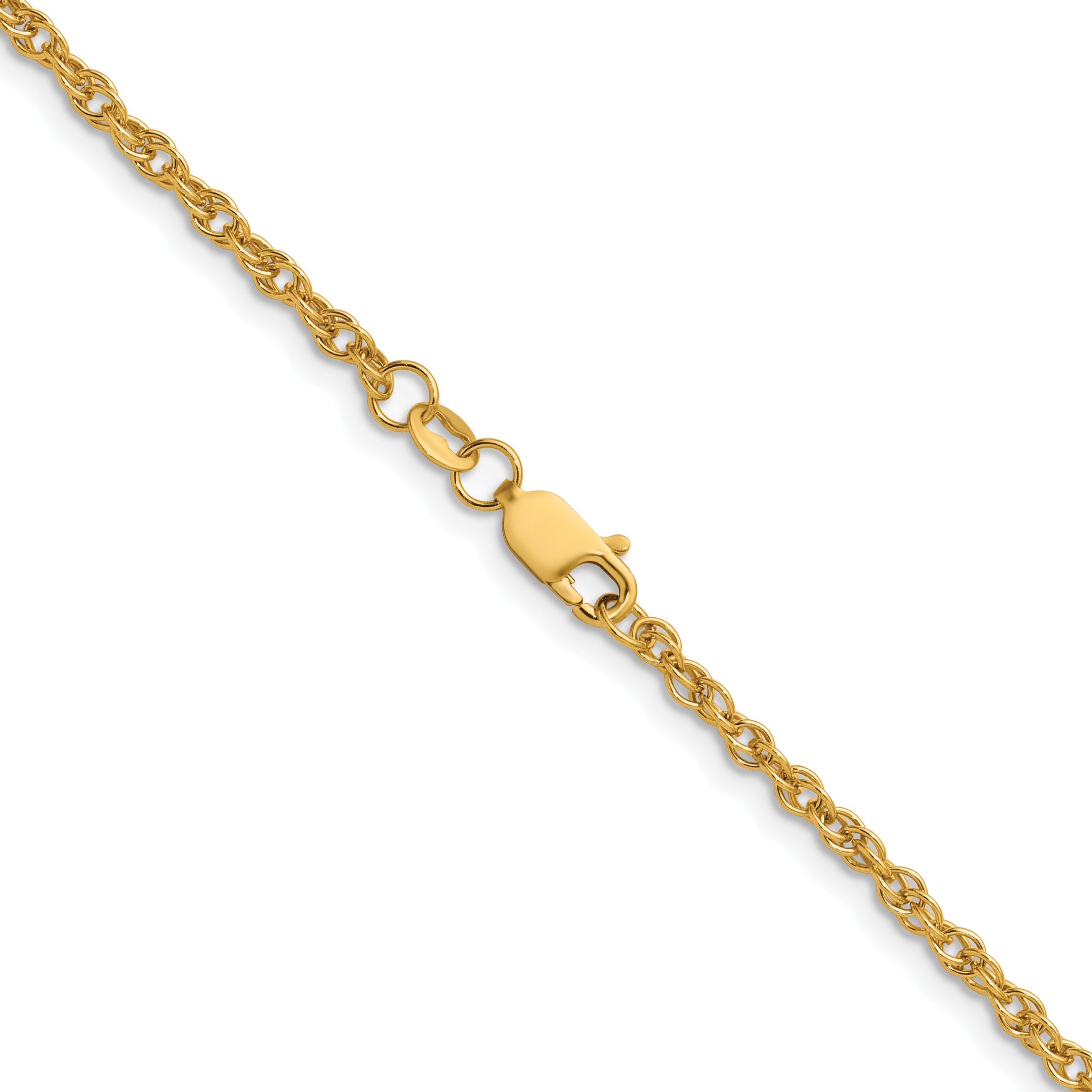 Rope Chain Necklace in 14/20 Gold Filled, 2.5mm Secondary image