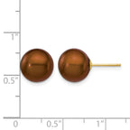 14K Gold Filled 10-11mm Brown Round Cultured Freshwater Pearl Stud Earrings - view 3